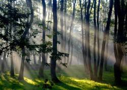 Ramadan: The season of mercy